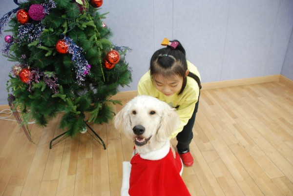 동물매개치료 하반기 단기체험에서 강아지와 찍은 사진입니다.