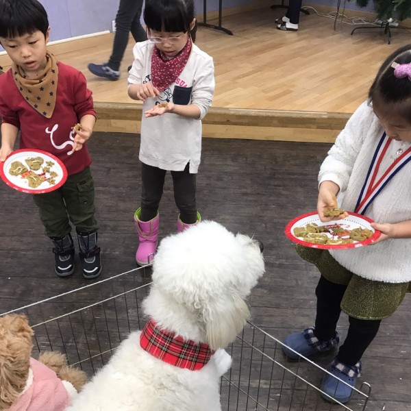 동물매개치료 하반기 단기체험에서 강아지에게 만든 사료를 주고 있는 사진입니다.