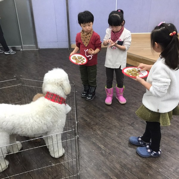 동물매개치료 하반기 단기체험에서 강아지에게 만든 사료를 주고 있는 사진입니다.