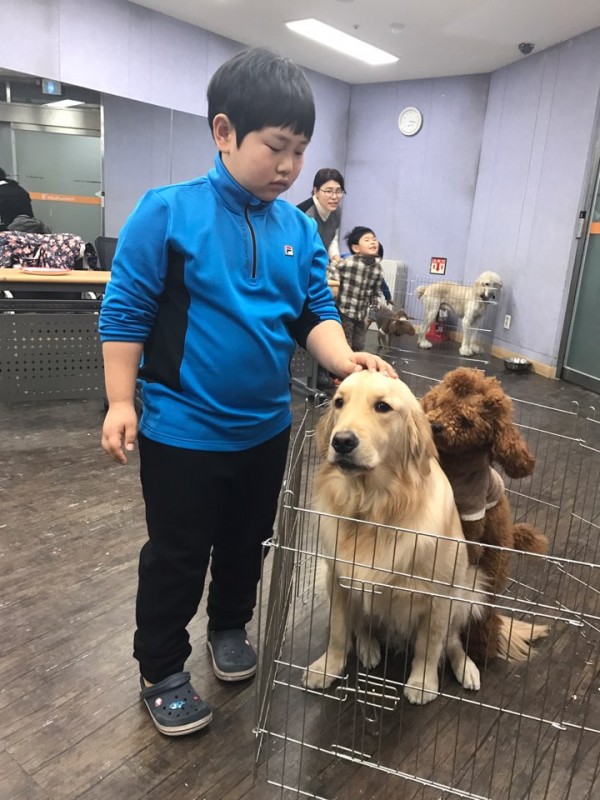 동물매개치료 하반기 단기체험에서 강아지와 찍은 사진입니다.