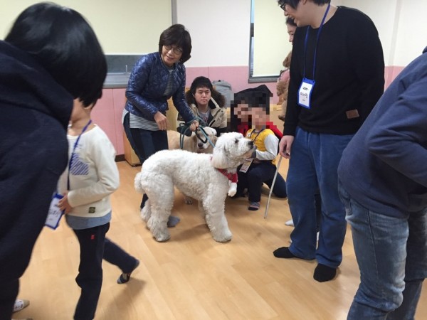 아동과 치료도우미견과 활동 사진2