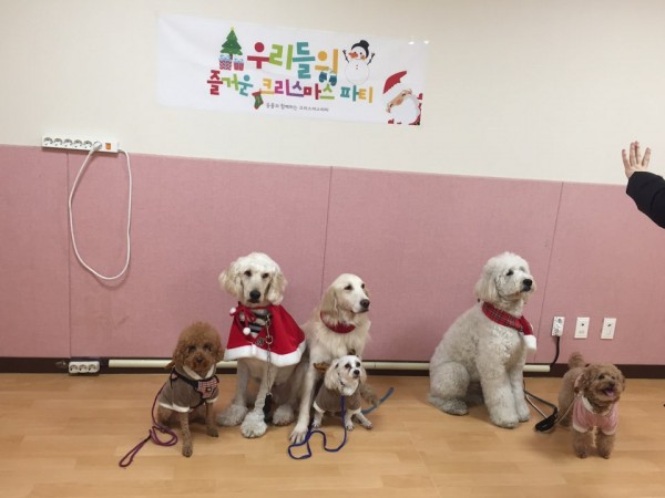 치료도우미견사진을 들고 있는 아이