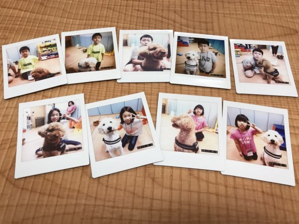 치료도우미견과 함께 찍은 폴라로이드 사진