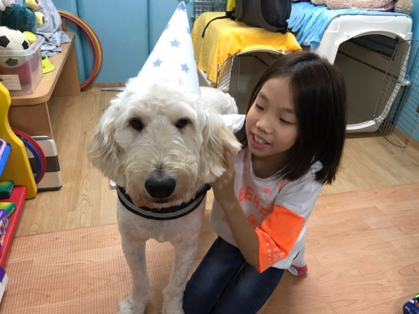치료도우미견과 아동 사진