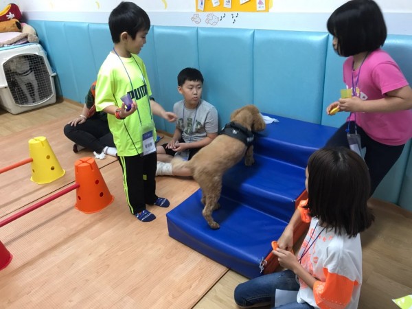 치료도우미견 먹이주는 아이들