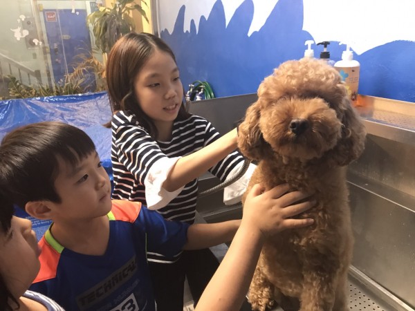 치료도우미견 셀프 목욕 체험 활동 사진