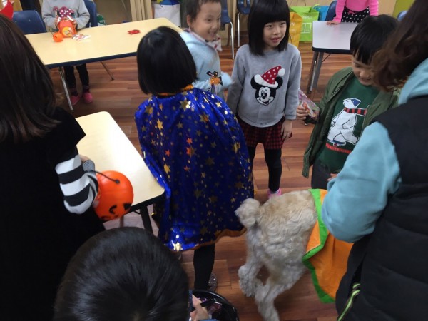 신나는 학교에서 진행된 할로윈 간식나눔