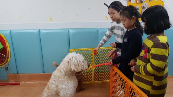 나의 형제친구들과 치료도우미견과 활동사진