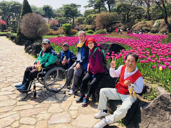 튤립과함께