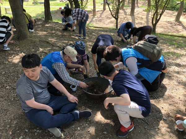 허브식물 심기1