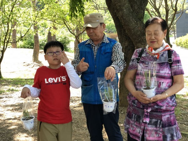허브식물 심기2