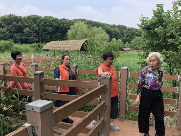 보치아8