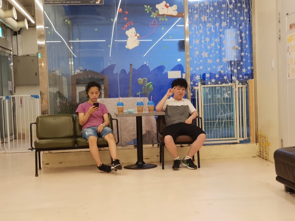 애견카페 이용 사진2