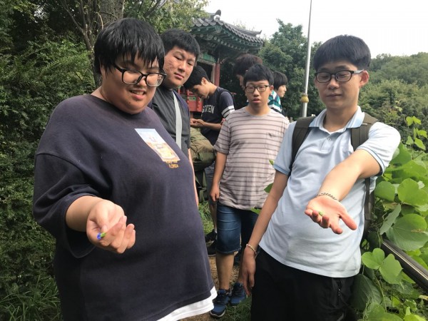 금천희망일터숲체험
