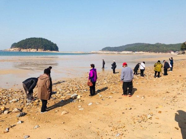 푸르른바다에서