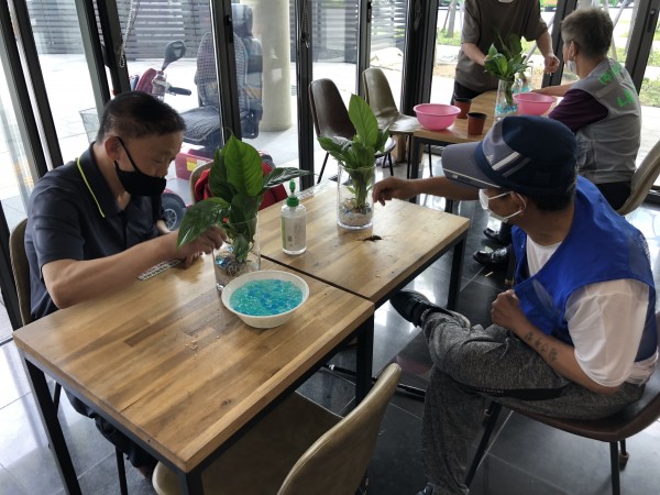 공기정화식물심기