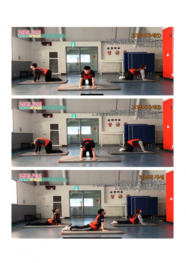 스트레칭,요가 동작3