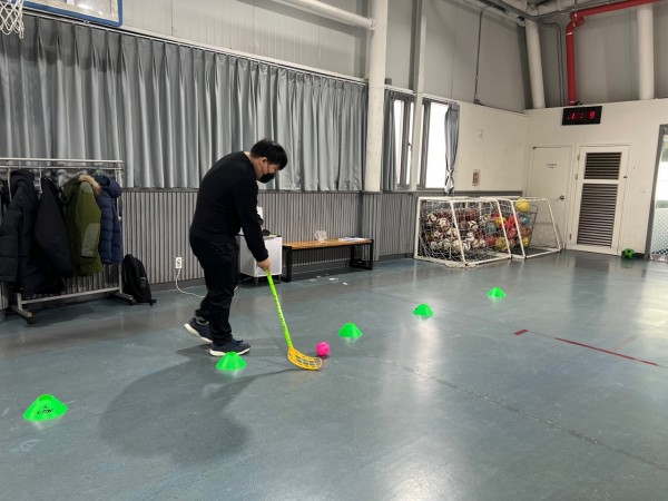 공 굴려 장애물 통과하는 모습