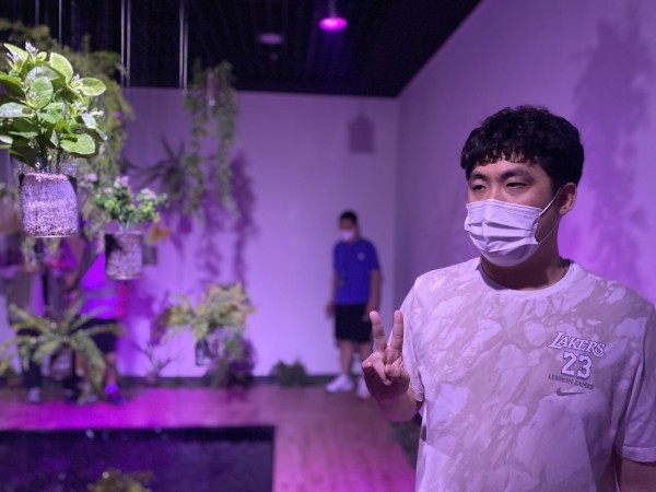 비가 오는 숲을 형상화 한 곳에서 찍은 사진