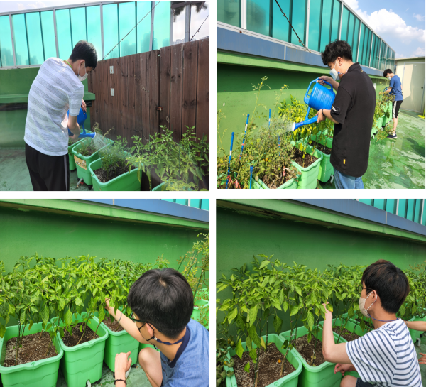 1차 직종 훈련