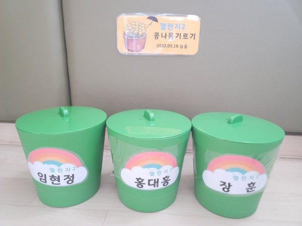 챌린지2 모아놓은 콩나물 시루