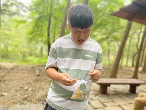 나뭇잎을 담아 간직한 모습