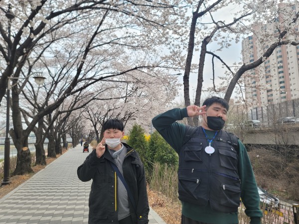 활짝핀 벚꽃앞에서 포즈를 취하는 모습