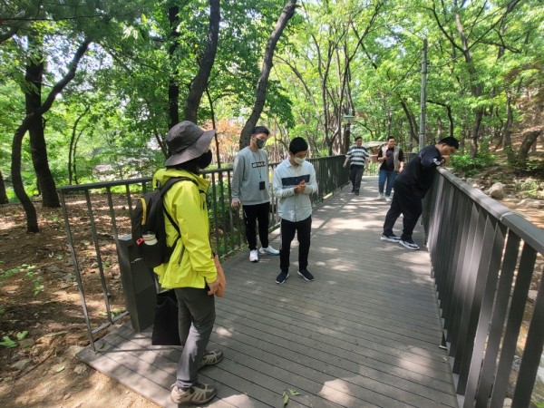 시흥계곡 숲 속 데크길을 걸으며 꽃과 풀을 구경하고 있는 이룸 아카데미 이용자 단체 사