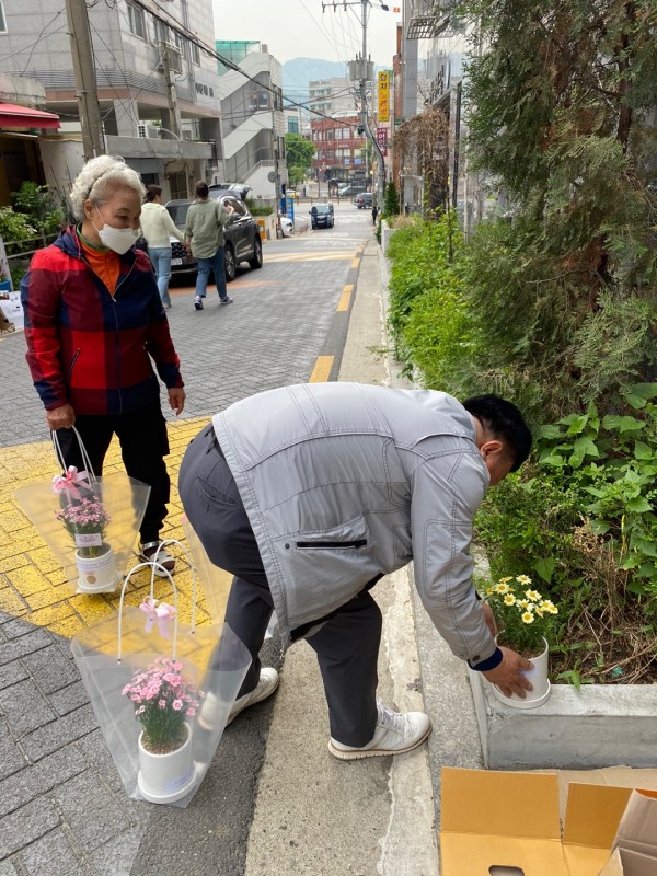 완성된 화분키트를 말미마을 거리에 두는 모습