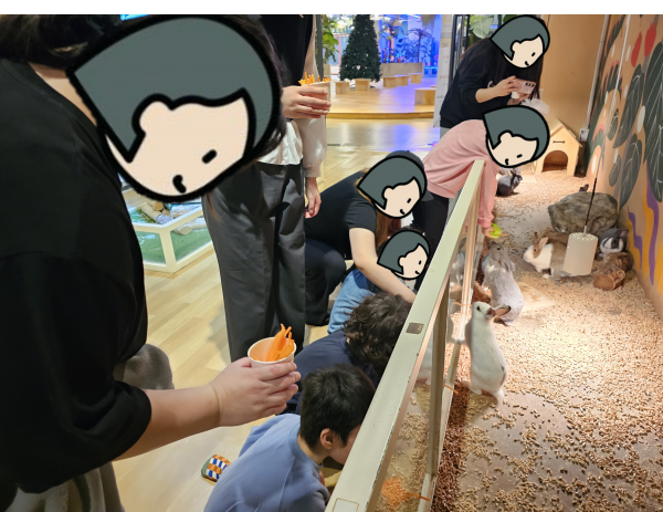 토끼에게 당근 먹이를 주고 있는 아동들의 모습