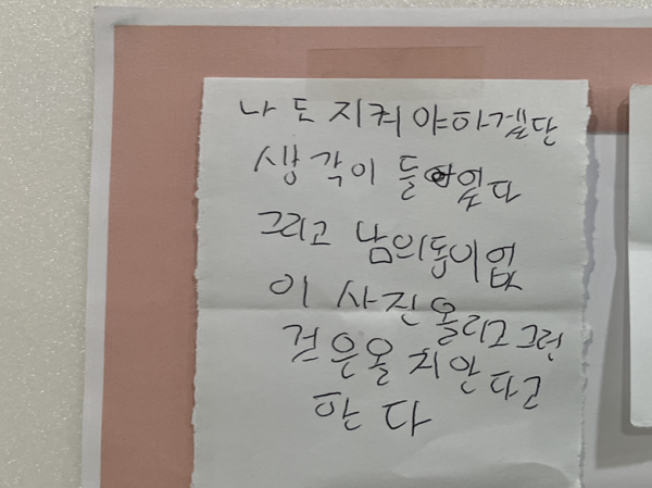 나도지켜야겠단 생각이들었다그리고 남의 동이 없이 사진 올리고 그런 것은 올지안다고한다 라고 적었습니다