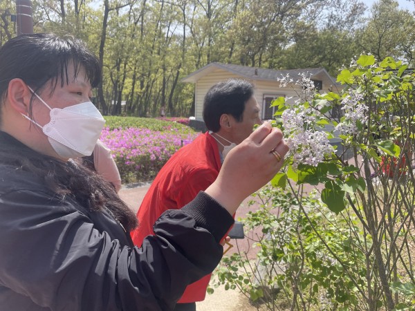 이 꽃은 무엇인지 살펴보며 라일락 향기를 맡는 모습