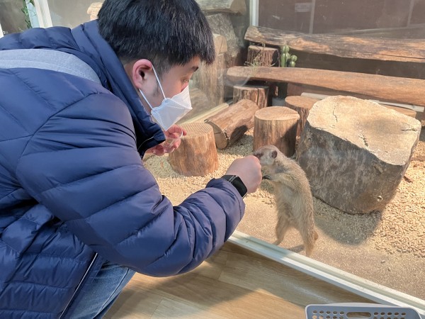 미어캣에게 먹이를 주는 훈련생
