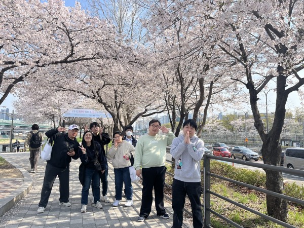 벚꽃 거리에서 사진 찍은 이용인