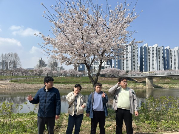 벚꽃아래에서 사진 찍은 이용인