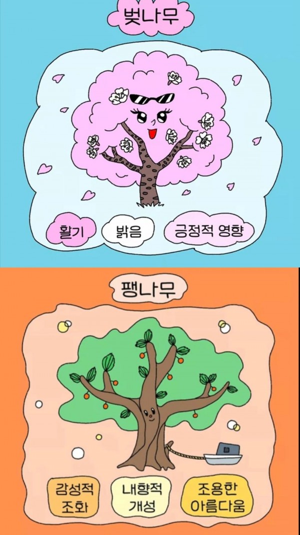 친구들이 직접 테스트한 결과로 벚나무인 활기, 밝음, 긍정적 영향과 팽나무의 감성적 조화, 내향적 개성, 조용한 아름다움