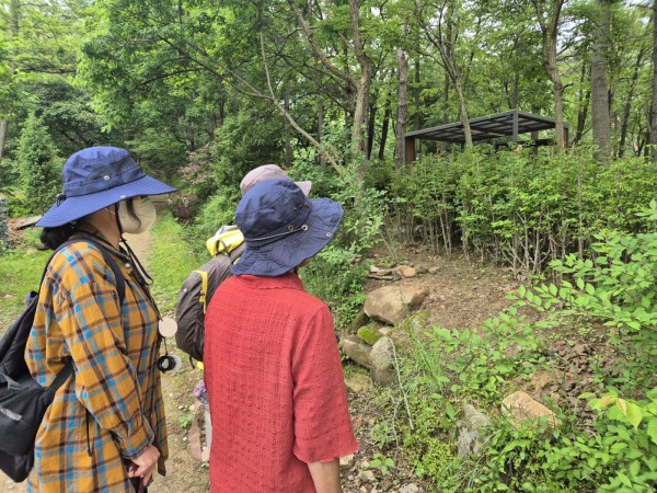 숲을 관찰하는 모습