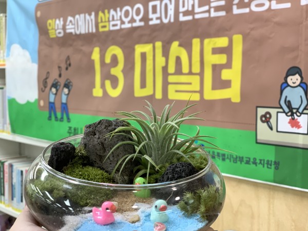 이오난사 테라리움 완성본