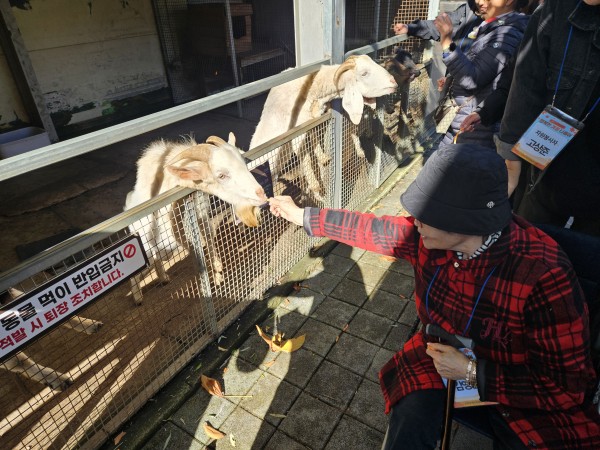 염소에게 먹이주기 체험하는 이용인1