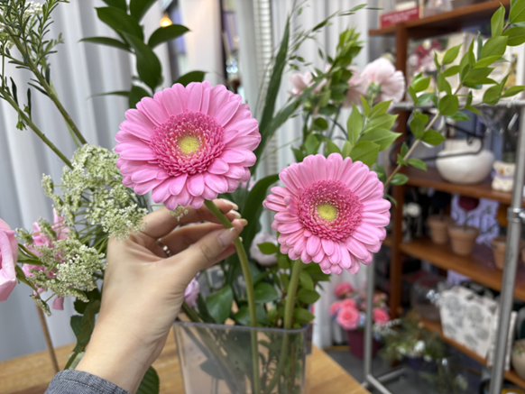 사람의 눈과 닮은 거베라 라는 꽃