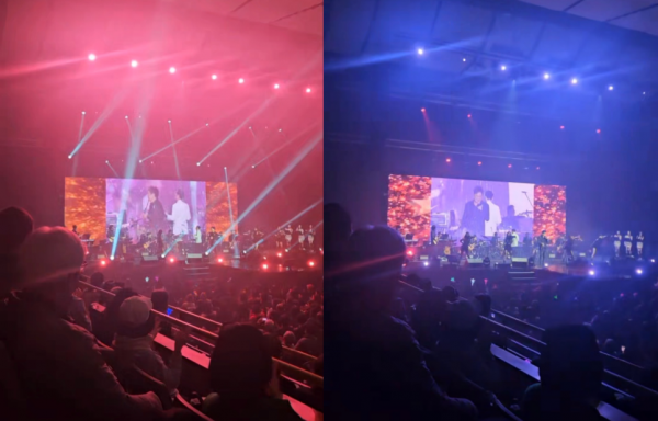 이용인이 직접 찍은 공연 관람 사진