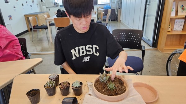 다육이가 다칠까 조심 조심 집중해요