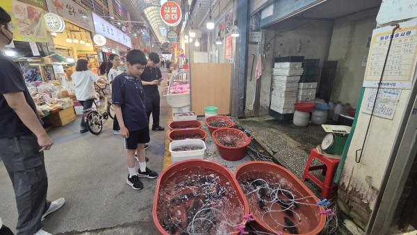 수산물 가게에서 생선을 구경하는 모습
