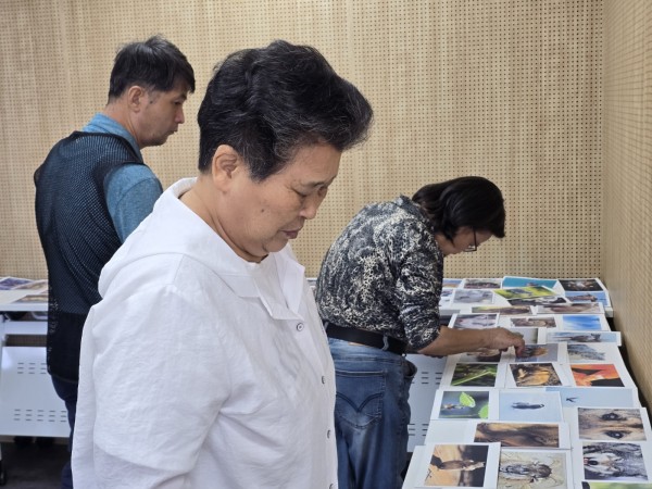 준비된 사진을 고르는 모습