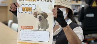 [함께 찾고 함께 돌보는 금천] 반려견으로 이어진 우리 동네 이웃들, 멍친소 첫 활동!