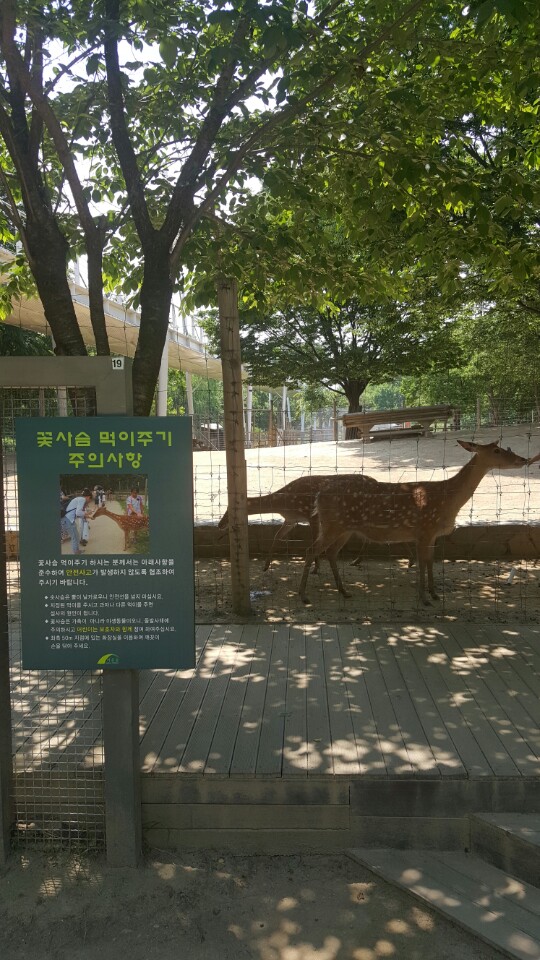 5월 취업자자조모임2
